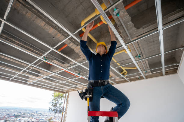 Best Residential Plumbing Services  in Madison, MS
